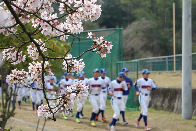早島ボーイズ ギャラリー ジャイアンツカップ予選の画像